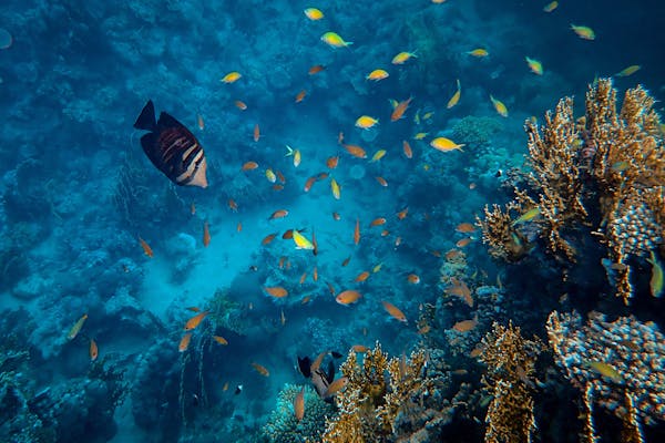 Private jet landing at remote luxury destination